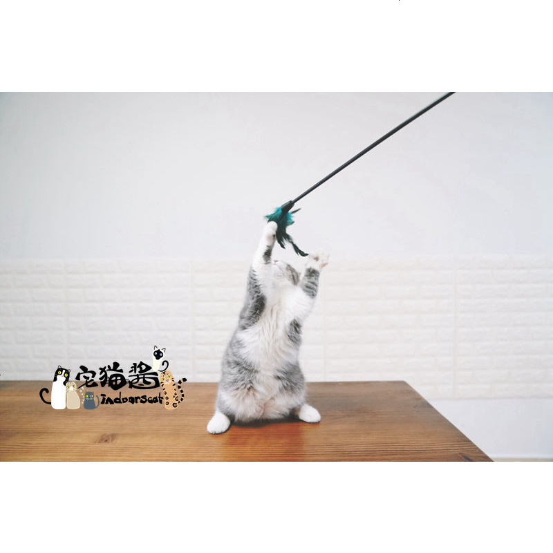 宅猫酱 猫咪玩具GiGwi加长逗猫棒羽毛猫咪大兴奋两根