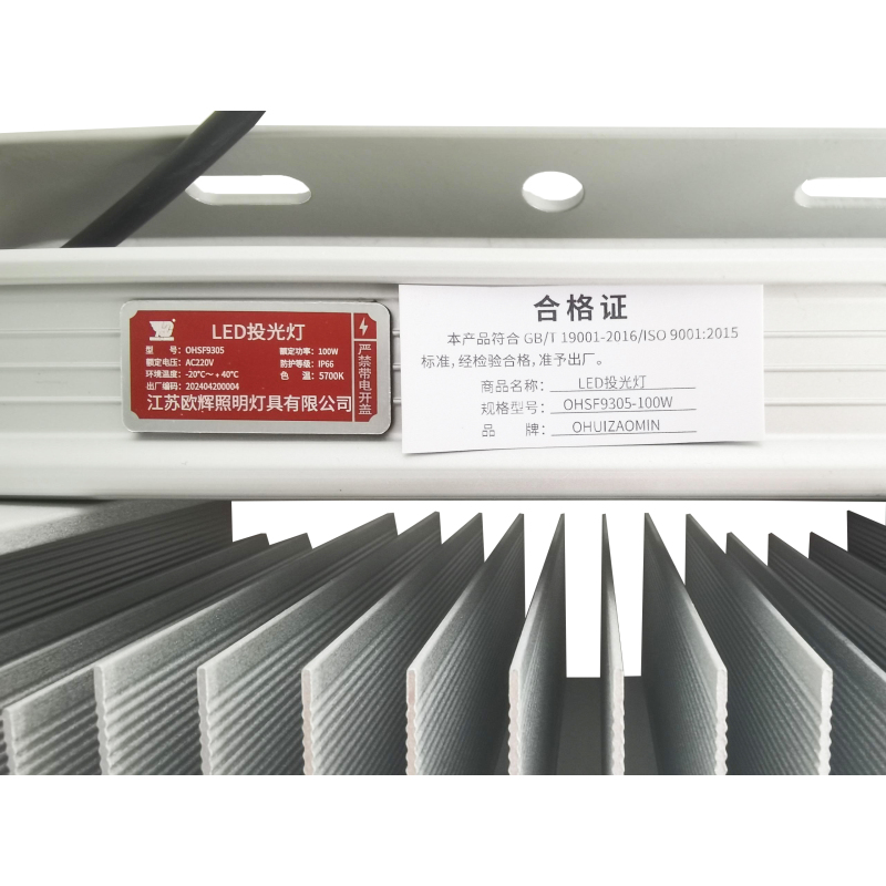 欧辉照明 (OHUIZAOMIN) LED投光灯 OHSF9305-100W