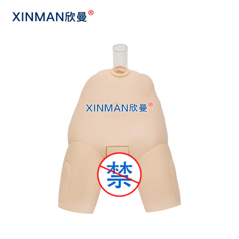 欣曼科教 女性膀胱穿刺操作训练模型 女性导尿模型XM-29N高清大图