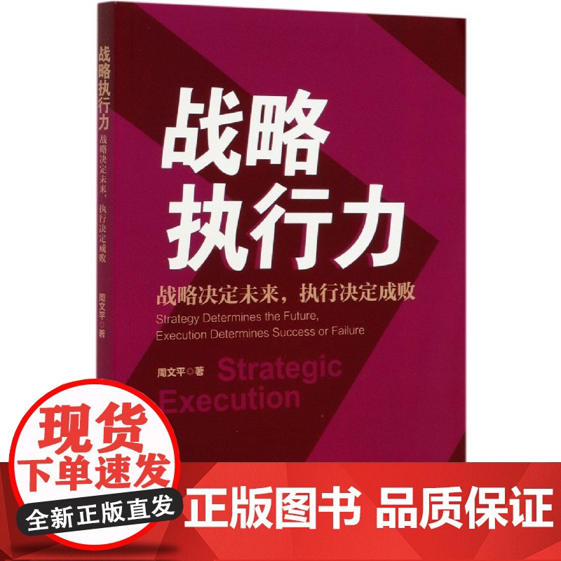 战略执行力(战略决定未来执行决定成败)