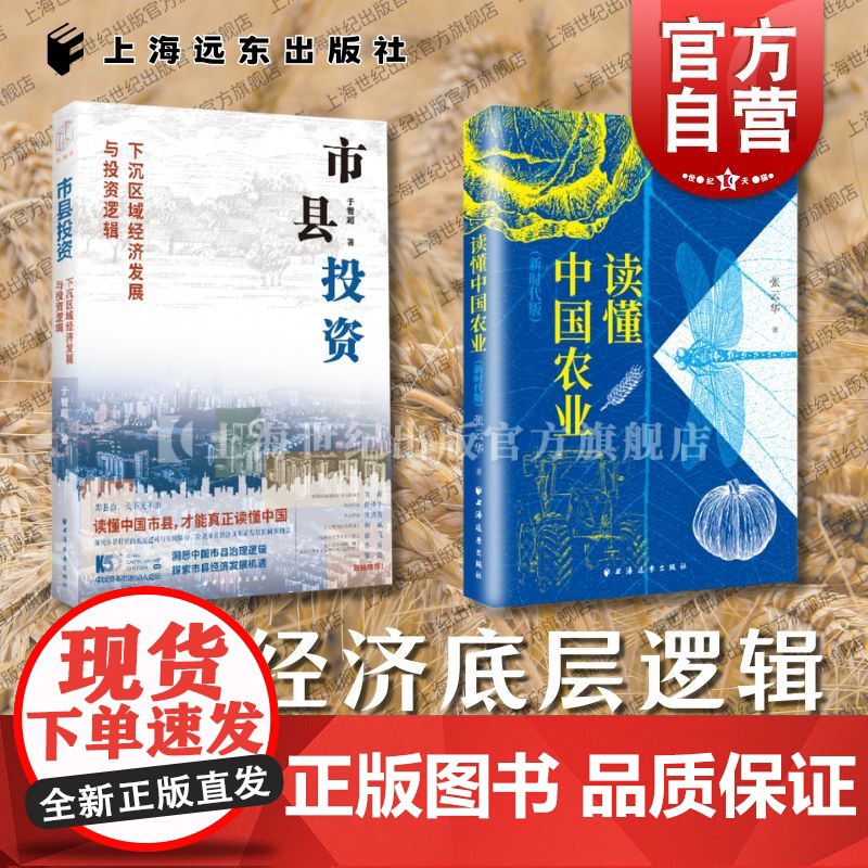 中国经济底层逻辑 市县投资下沉区域经济发展与投资逻辑/读懂中国农业新时代版 上海人民出版社高清大图