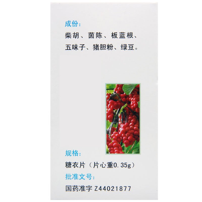 鹅城 护肝片 0.35g*100片*1瓶/盒