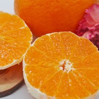 芮瑞 四川特产 青见 柑橘脐橙大果1500g 新鲜水果