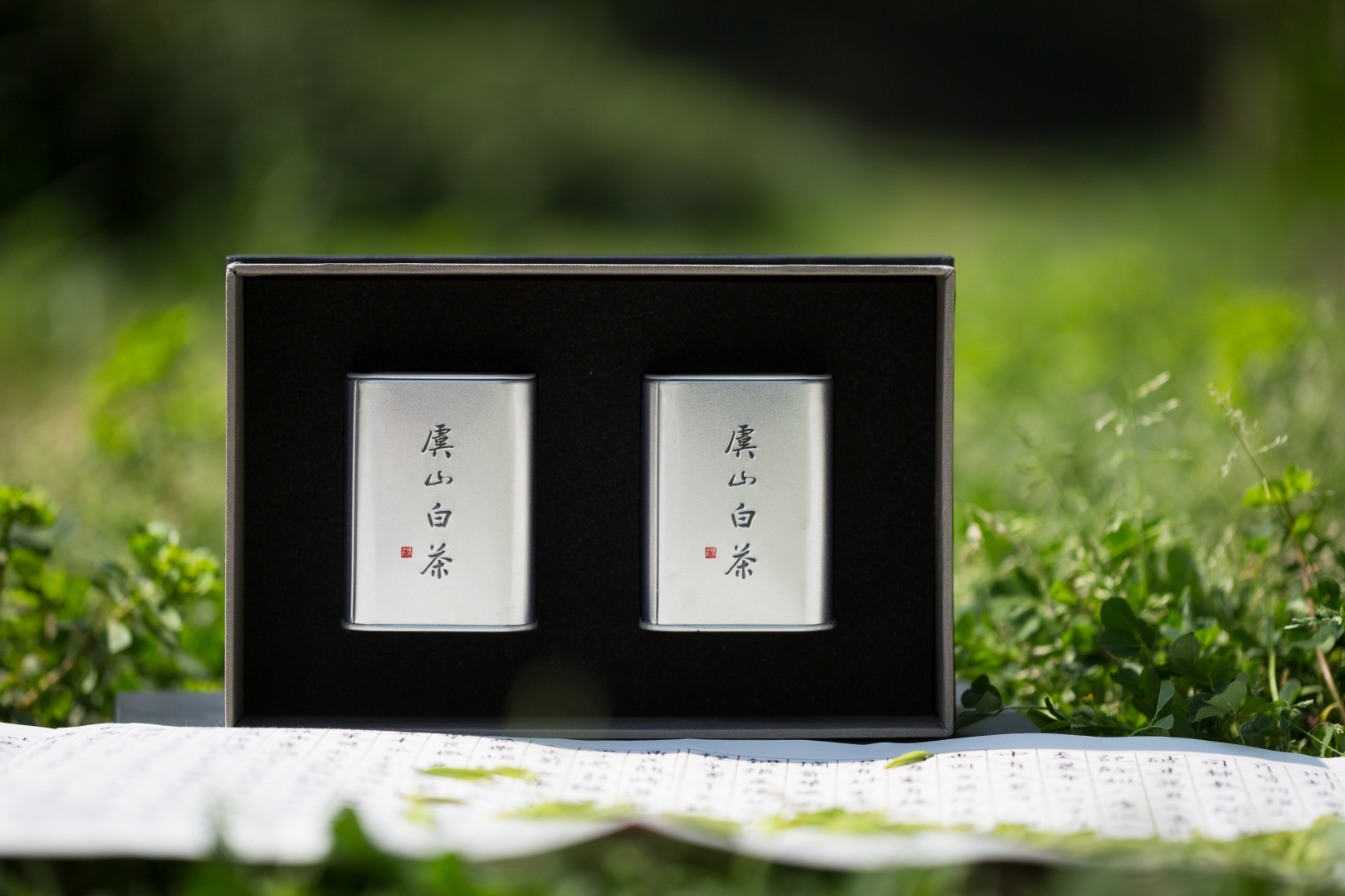 虞山绿茶特级白茶50克礼盒25克2罐参数