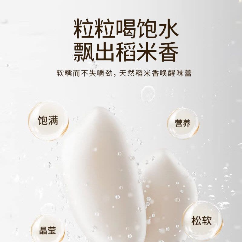 九阳(Joyoung)0氟珐琅瓷釜3升微压快煮电饭煲家用电饭锅铁釜球胆不粘多功能柴火杂粮饭智能预约煮饭锅F-30NF01图片
