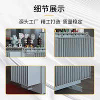鑫睿辉 油浸式变压器 S13 台