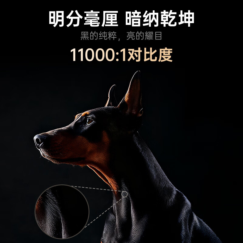 坚果投影(JMGO)N5 Ultra Max 4K超高清三色激光云台投影仪 变焦自动移轴高清大图