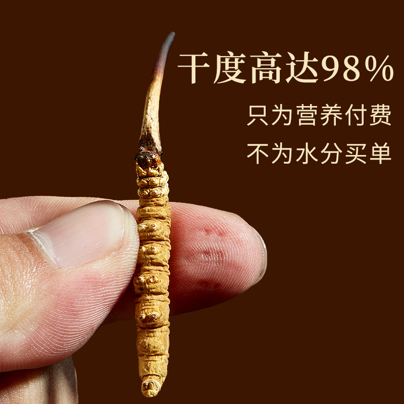 秦仁堂冬虫夏草3根/克 冬虫草正品干货 1克盒装