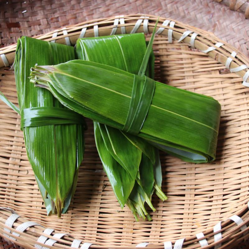 叶新鲜粽叶真空竹叶天然野生大粽叶包粽子叶粽叶子粽子