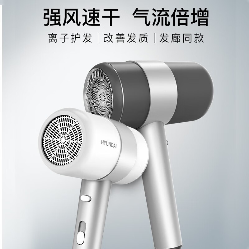 HYUNDAI 时尚降噪美发电吹风-YH5300高清大图