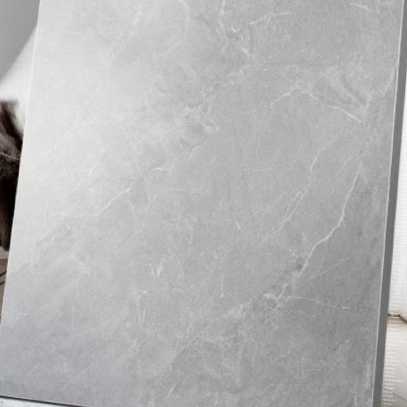 欧罗兰800X800抛釉砖高清大图