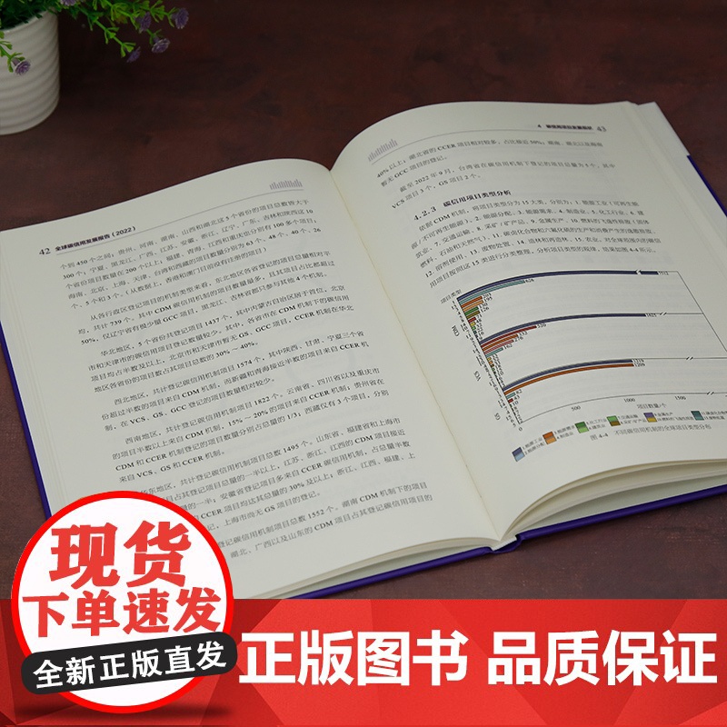 [正版新书]全球碳信用发展报告(2022) 刘志、梅德文、戴璟 清华大学出版社 二氧化碳-信用-研究报告-世界-2022高清大图