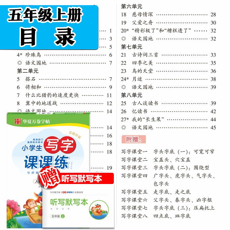 小学生部编五年级上下册人教版字帖硬笔钢笔临摹练字本正楷练字帖 习字帖五年级上册