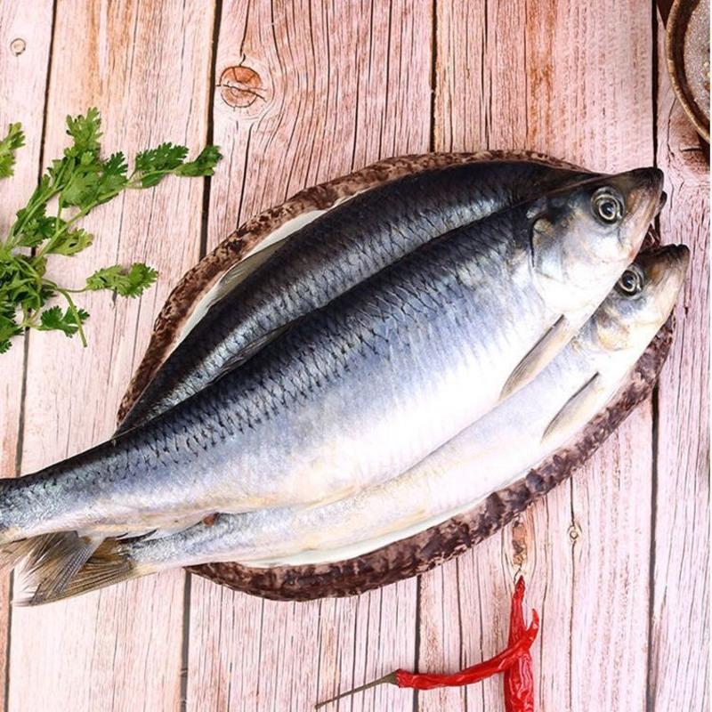 赛卡伊 青鱼东北沙丁鱼新鲜海鲜深海冷水鱼懒人之宝鲱鱼整箱 单条6-8