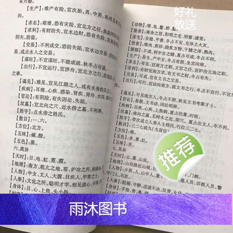 经典传统文化 飞盘奇门 254页 肖殿中高清大图
