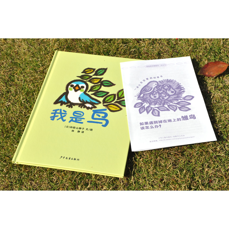 醉染图书我是鸟9787558906152高清大图