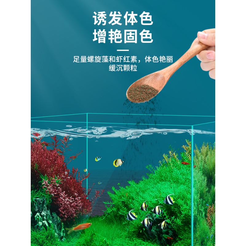孔雀鱼饲料鱼食小颗粒红绿灯小型鱼粮斗鱼金鱼观赏热带鱼食通用型高清大图
