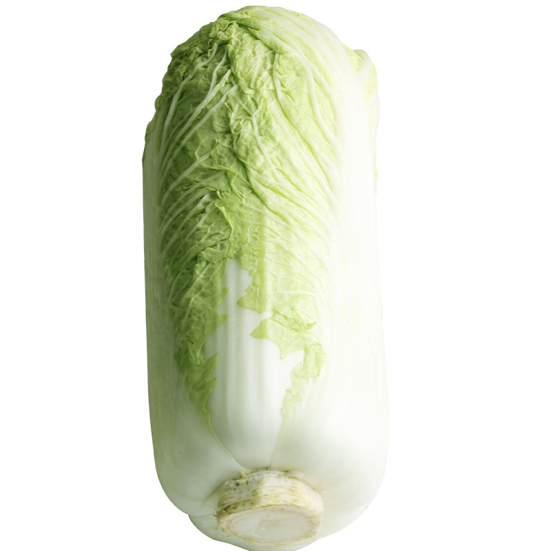 大白菜10斤新鲜农家蔬菜小菜包心青菜整棵