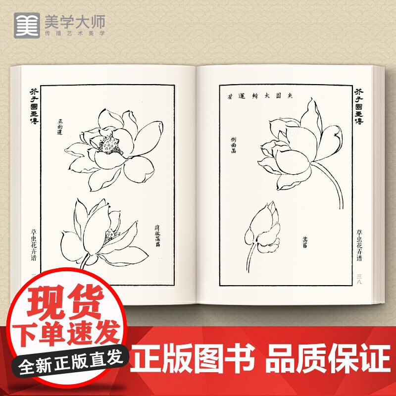 美学大师 芥子园画传 草虫翎毛谱高清大图