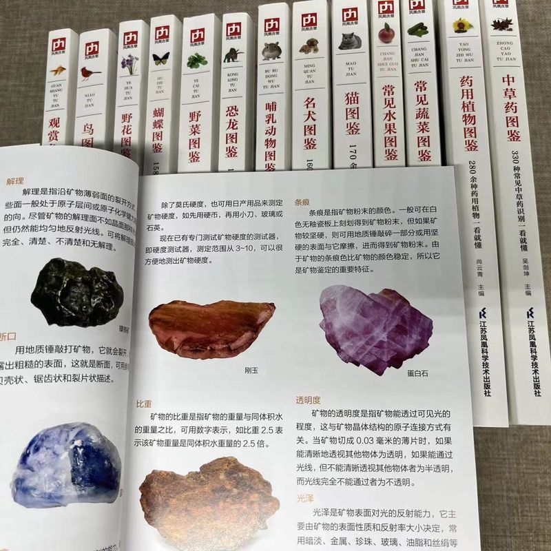 常见水果图鉴 [正版]任选常见蔬菜水果图鉴 图解矿物与岩石完全图鉴 129种蔬果的认识与了解营养介绍饮食烹饪菜谱食饮食高清大图