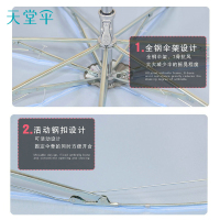 天堂 防风晴雨伞三折男女款雨伞商务伞 字母藏青