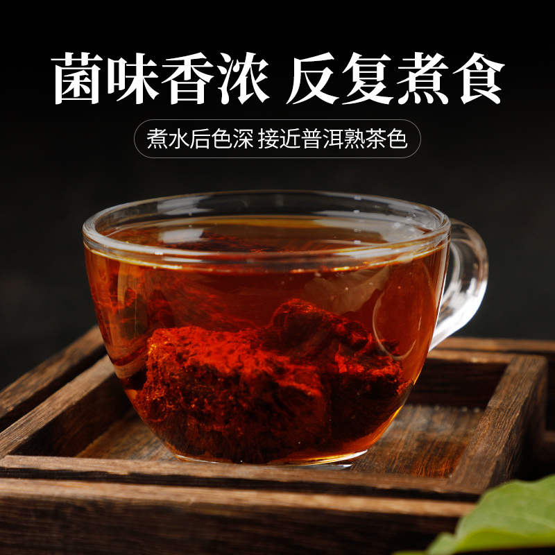 SUN CLARA白桦树茸养生茶可搭配桑黄灵芝