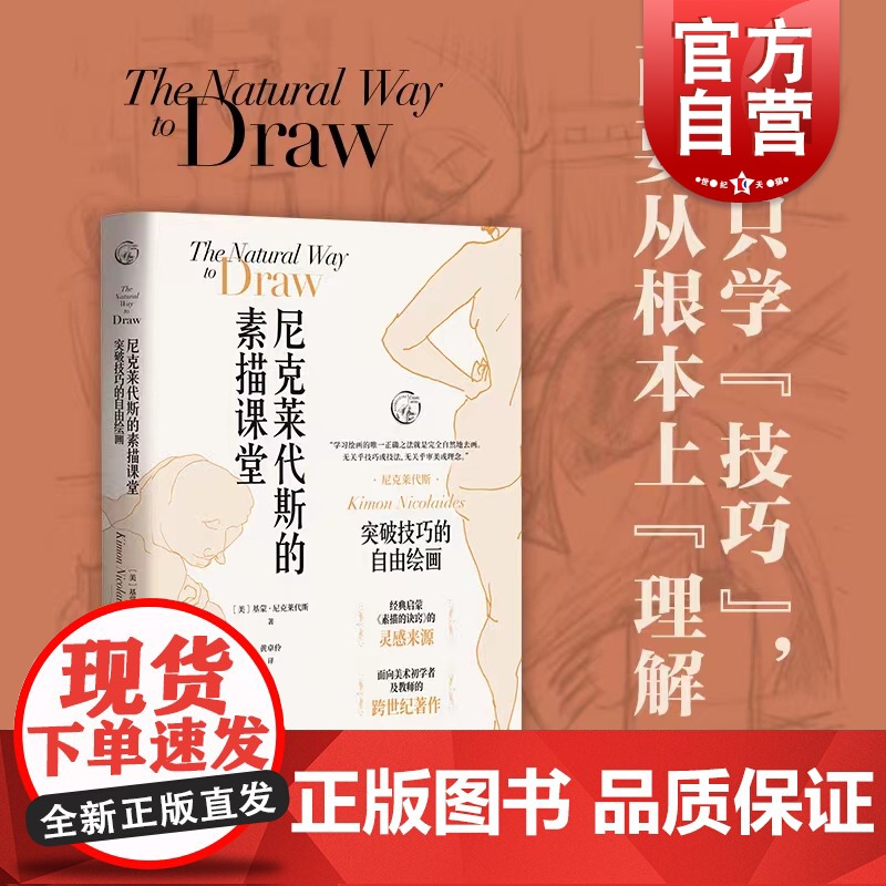 尼克莱代斯的素描课堂:突破技巧的自由绘画 素描的诀窍 速写入门技法 素描进阶教程 上海人民美术出版社高清大图