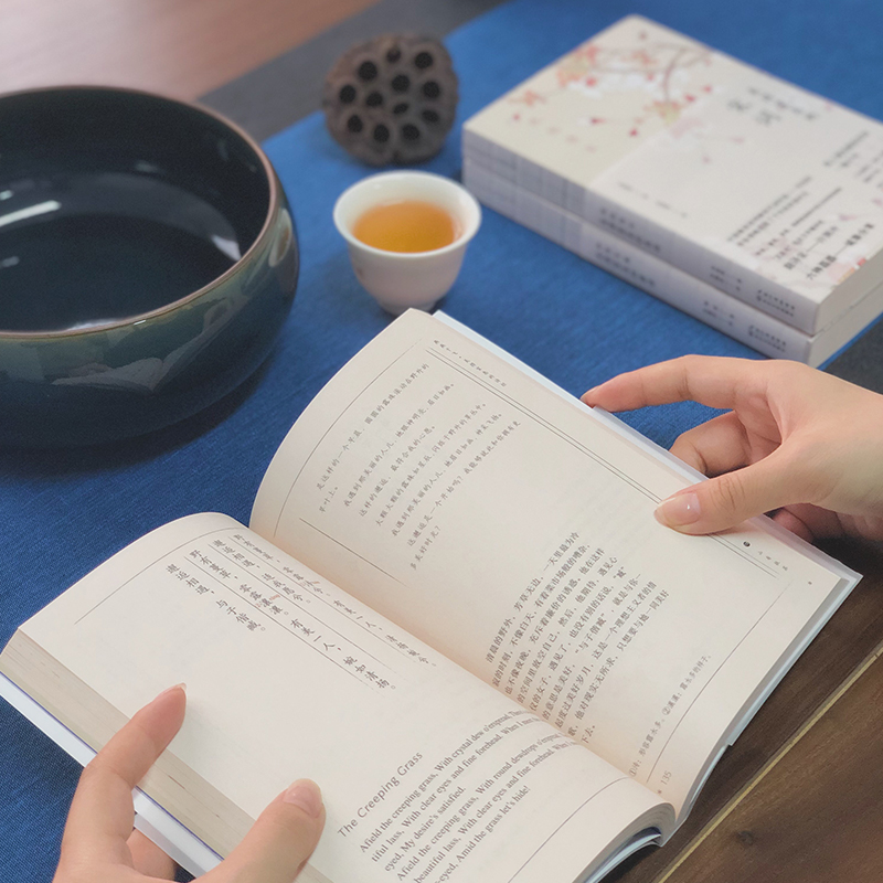 [正版]六神磊磊6册许渊冲古诗词书+马未都讲透唐诗美得窒息的唐诗宋词诗经林深见鹿燕燕于飞纸短情长现当代文学散文随笔名家高清大图