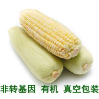 [江苏扶贫][财政集采][沭阳]乃博 甜糯玉米 200g*10袋装