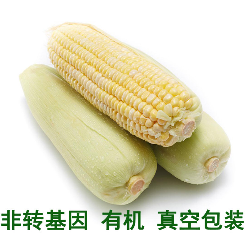 [江苏扶贫][财政集采][沭阳]乃博 甜糯玉米 200g*10袋装