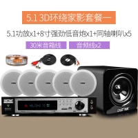 先科（SAST） D51 吸顶音响 家庭影院5.1音响套装 客厅电视吊顶音响 天花喇叭套装