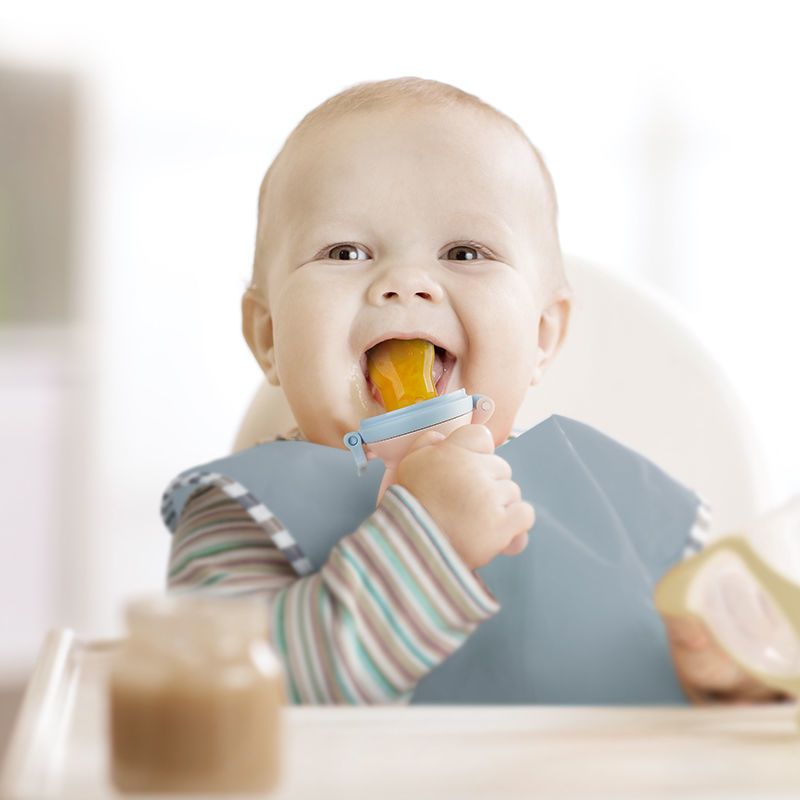 BABYCARE婴儿食物果蔬咬咬袋硅胶玩 乐磨牙棒宝宝吃水果辅食器 冰川蓝