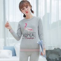 保暖内衣女学生加绒加厚套装高中生纯棉秋衣秋裤棉毛衫 165/2XL 71灰色火烈鸟