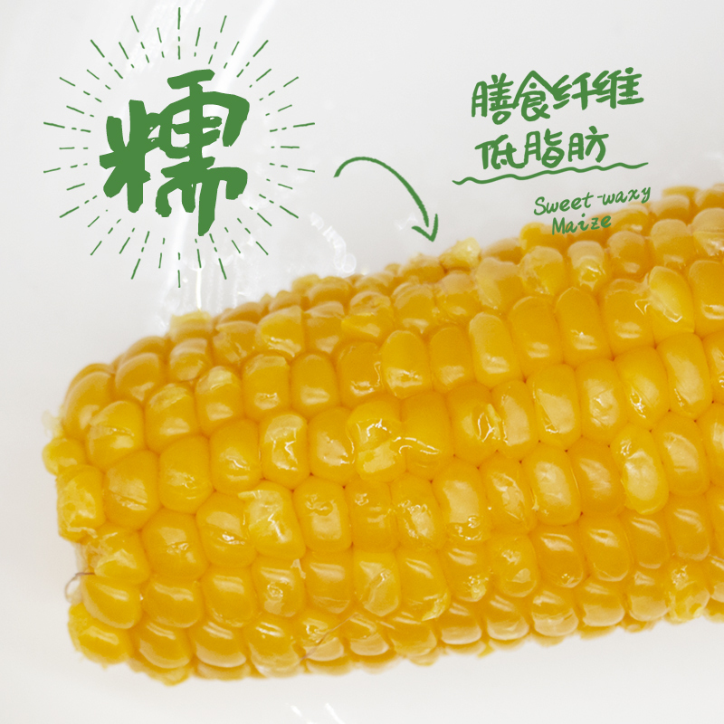 农得客博斯糯9号东北新鲜黄糯玉米200g*5根
