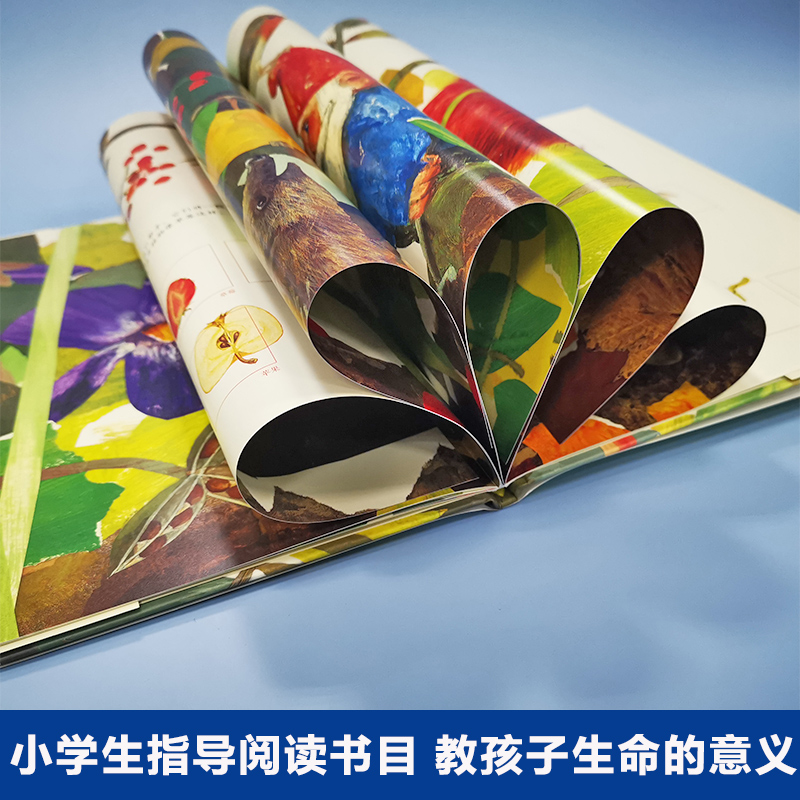 醉染图书一粒种子的旅行9787544248648高清大图