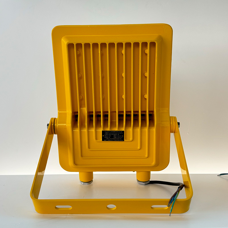 RECEN RFBL162-100W LED防爆投光灯 个高清大图