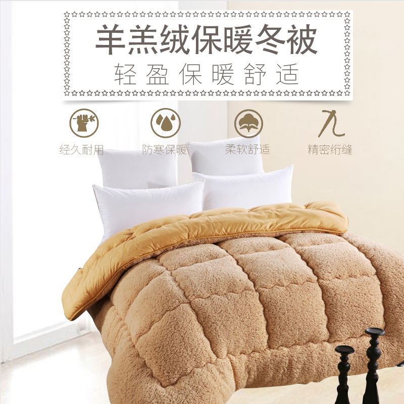 伊伊爱Z01900021纯色羊羔绒被子秋冬保暖被高清大图