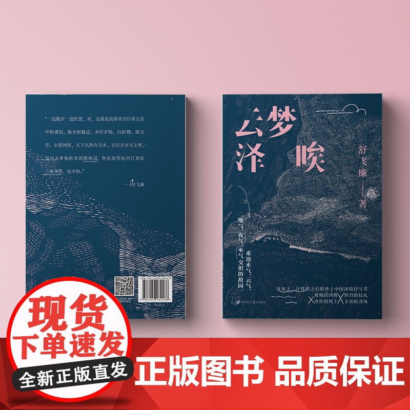 云梦泽唉 舒飞廉 承续沈从文汪曾祺的乡土写作文脉 在狂飙突进的世界看见乡园的烟火风物生命流动找到对抗虚无的铆劲与灵性高清大图