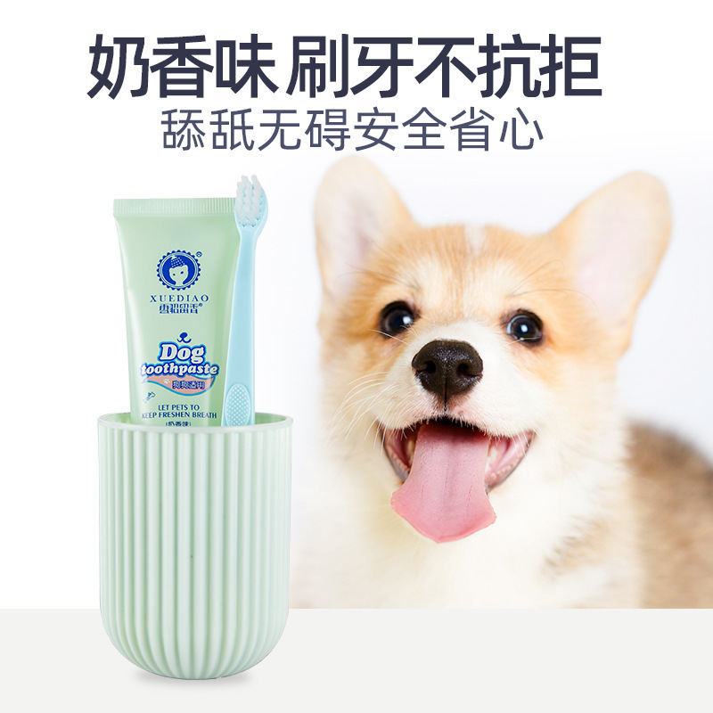雪貂留香 宠物牙膏牙刷套装(奶香味)猫咪狗狗牙膏 专用宠物清洁用品 口清洁