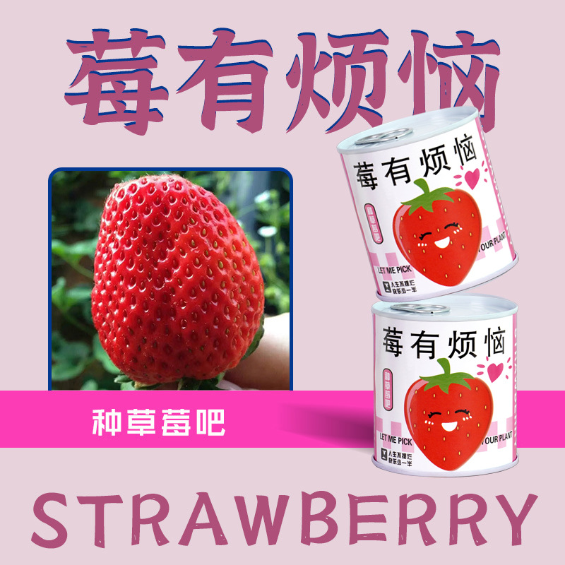 iChoice 易拉罐种植diy小盆栽桌面绿植栽培罐头植物网红祝福盆栽种子款式随机20盆高清大图
