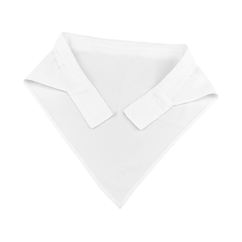 鸽护 服务员工作帽 GH-MZ-049-K39-3 个高清大图