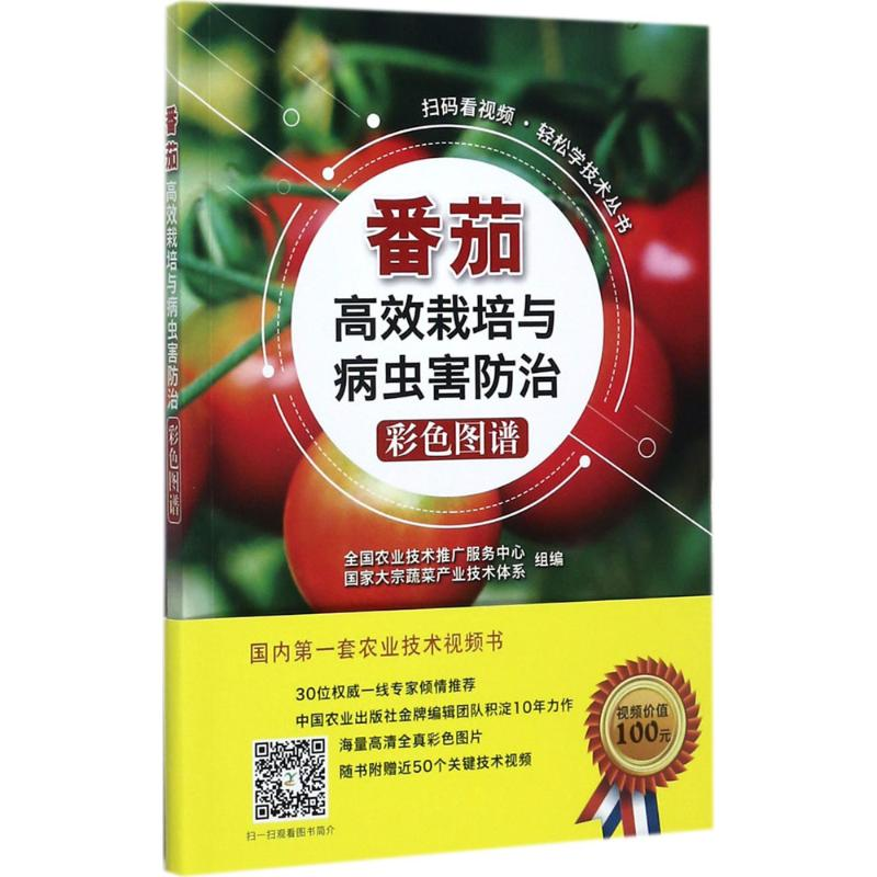 【M】番茄高效栽培与病虫害防治彩色图谱-9787109233775