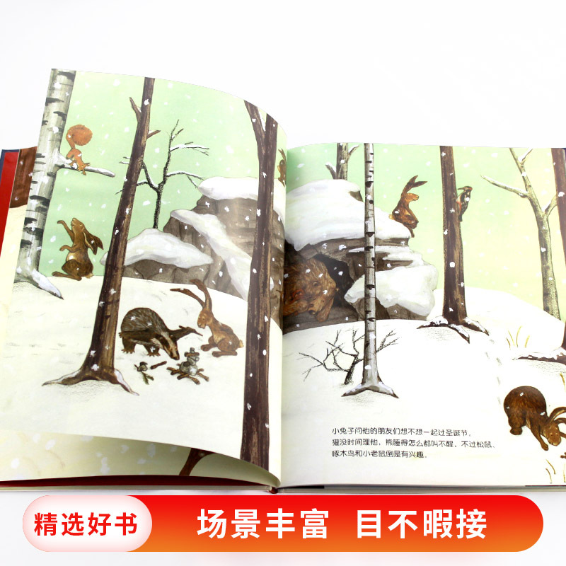什么是圣诞节 [正版]什么是圣诞节硬壳精装图画书蒲蒲兰圣诞节主题绘本1-2-3-4-5岁亲子阅读幼儿启蒙系列童书