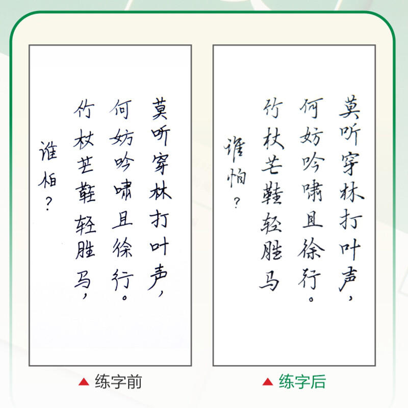 行楷入门·速成练习 [正版]行楷字帖吴玉生行楷入门初学者行书字帖练字成年男控笔训练字帖成人唐诗宋词初中生钢笔硬笔临摹优美高清大图