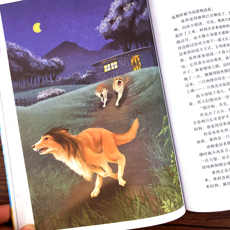 [M]灵犬莱西/国际大奖儿童文学-9787502074487