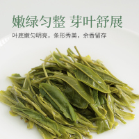 【新品】茶马世家2021新茶特级春茶恩施玉露明前蒸青绿茶75克