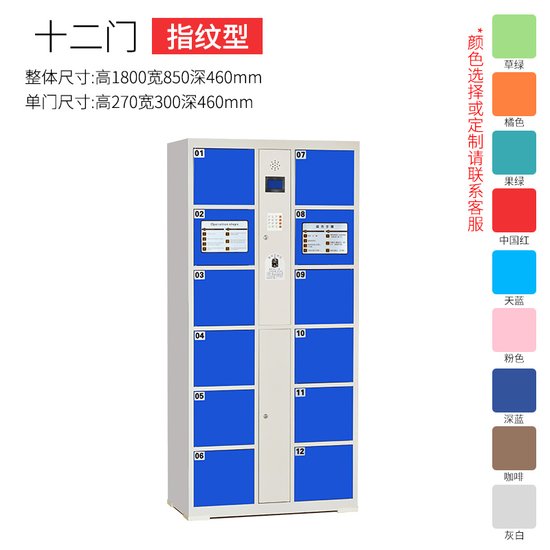 三金鑫 超市电子存包柜商场寄存柜储物柜员工手机充电存放柜微信刷卡密码指纹储物保管寄存柜 12门指纹