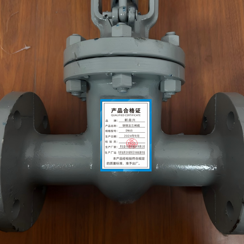 新鑫兴 铸钢法兰闸阀 DN65个高清大图