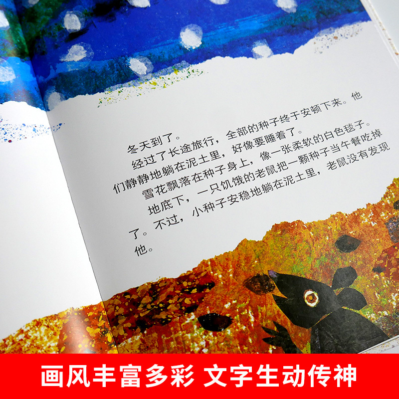 青蛙和蟾蜍 拼音版4册 [正版]信谊图画书小种子艾瑞卡尔 精装儿童绘本3-6-8周岁少幼儿亲子阅读故事书图画书籍 宝宝家
