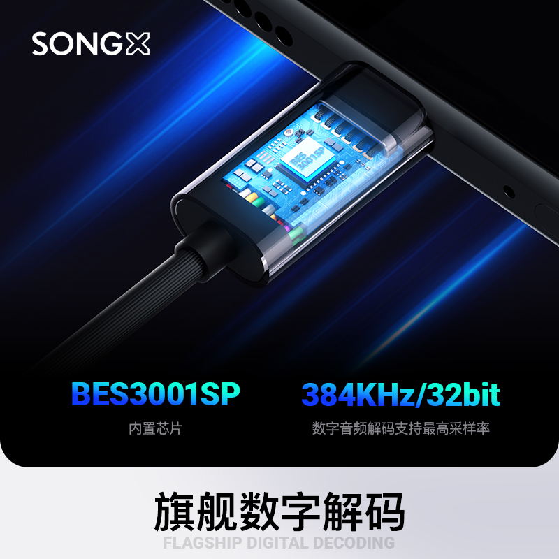 SONGX 有线耳机type-c入耳式耳机Hi-Res金标认证K歌游戏华为小米vivo苹果15手机ipad通用扁头